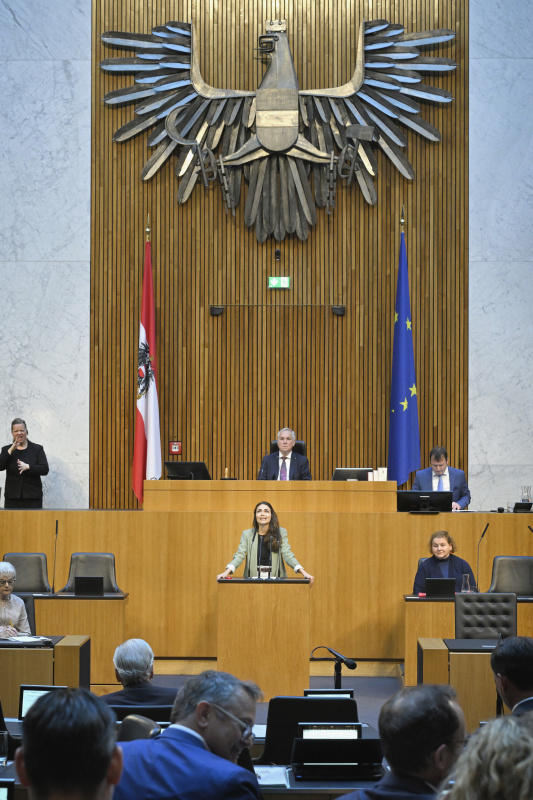 Am Redner:innenpult: Nationalratsabgeordnete Barbara Neßler (GRÜNE). Blick Richtung Sitzungsteilnehmer:innen