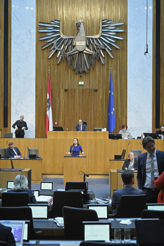 Am Redner:innenpult: Nationalratsabgeordnete Sophie Wotschke (NEOS). Blick Richtung Sitzungsteilnehmer:innen