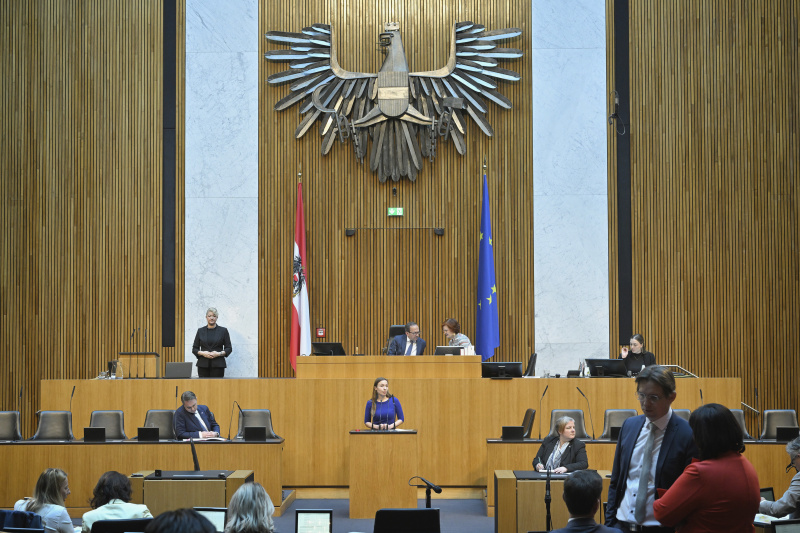 Am Redner:innenpult: Nationalratsabgeordnete Sophie Wotschke (NEOS). Blick Richtung Sitzungsteilnehmer:innen