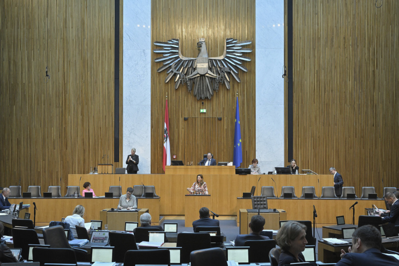 Am Redner:innenpult: Nationalratsabgeordnete Carmen Jeitler-Cincelli (ÖVP). Blick Richtung Sitzungsteilnehmer:innen