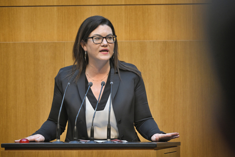 Am Redner:innenpult: Nationalratsabgeordnete Melanie Erasim (SPÖ)