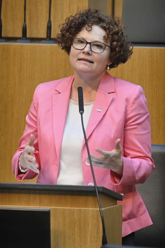 Am Redner:innenpult: Staatssekretärin Elisabeth Zehetner (ÖVP)