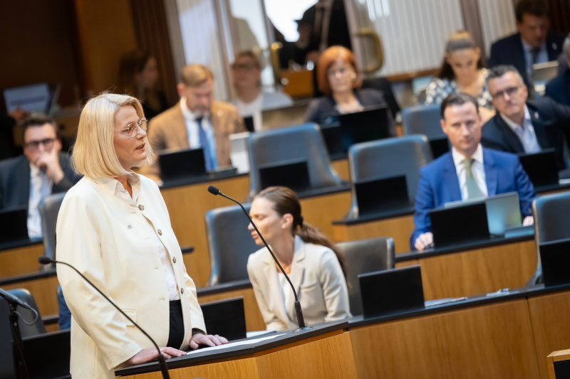 Am Redner:innenpult Nationalratsabgeordnete Katrin Auer (SPÖ)