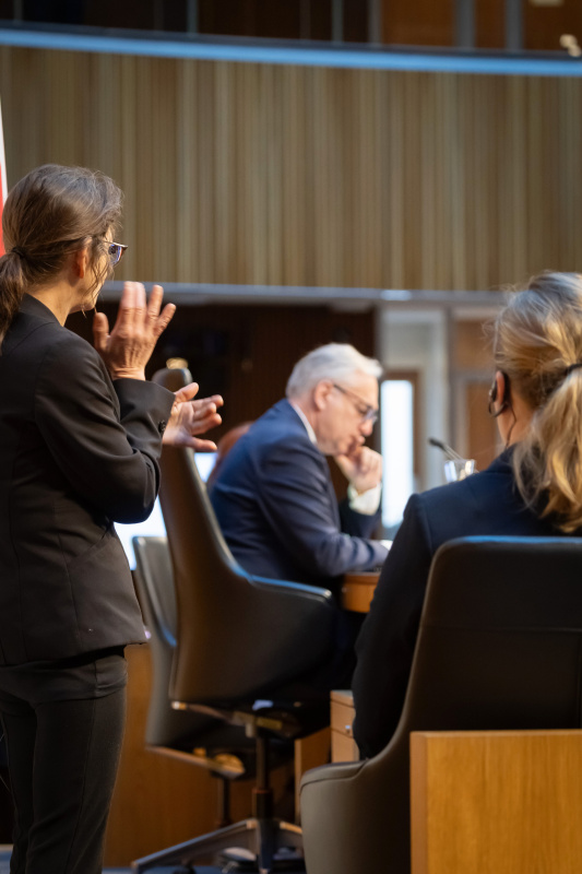Gebärdendolmetscherinnen, Nationalratspräsident Walter Rosenkranz (FPÖ) am Präsidium