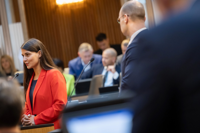 Am Redner:innenpult Nationalratsabgeordnete Meri Disoski (GRÜNE)