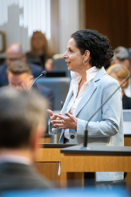 Am Redner:innenpult Nationalratsabgeordnete Margreth Falkner (ÖVP)