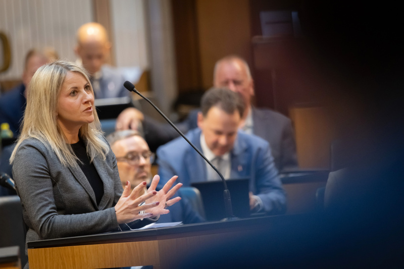 Am Redner:innenpult Nationalratsabgeordneter Silvia Kumpan-Takacs (SPÖ)