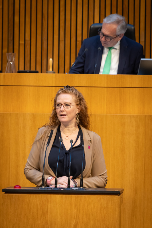 Am Redner:innenpult Nationalratsabgeordnete Fiona Fiedler (NEOS). Nationalratspräsident Walter Rosenkranz (FPÖ) am Präsidium