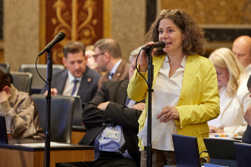 Fragestellerin Bundesrätin Elisabeth Kittl (GRÜNE)