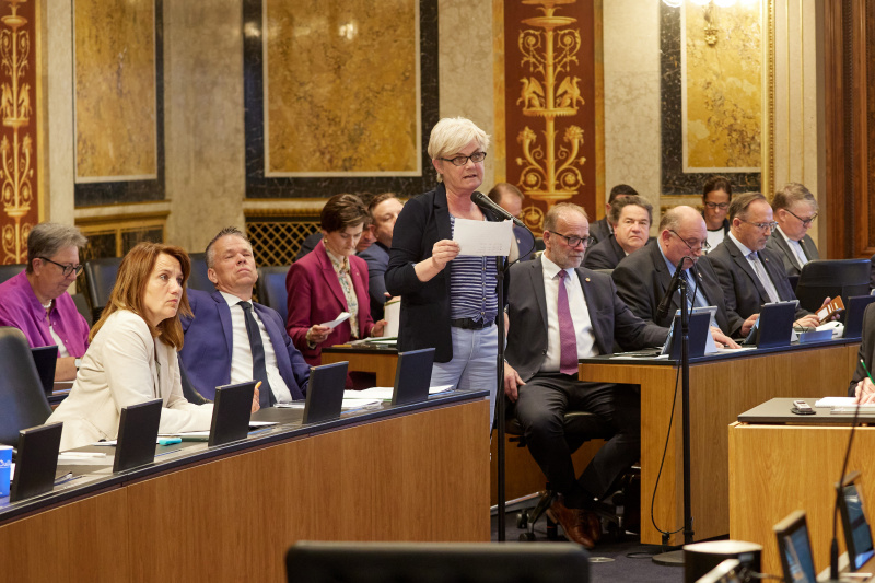 Fragestellerin Bundesrätin Marlies Doppler (FPÖ)