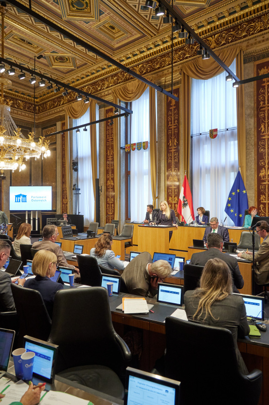 Am Redner:innenpult: Bundesrätin Isabella Theuermann (FPÖ)