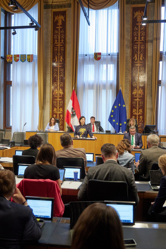 Am Redner:innenpult: Bundesrätin Manuela-Anna Sumah-Vospernik (NEOS)