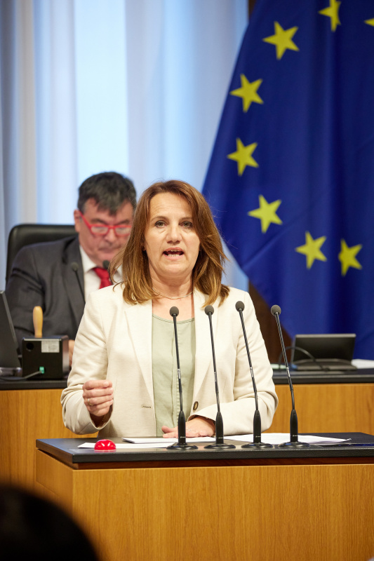 Am Redner:innenpult: Bundesrätin Johanna Miesenberger (ÖVP)