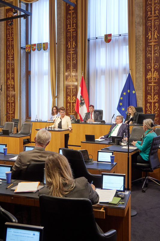 Am Redner:innenpult: Bundesrätin Bernadette Kerschler (SPÖ)