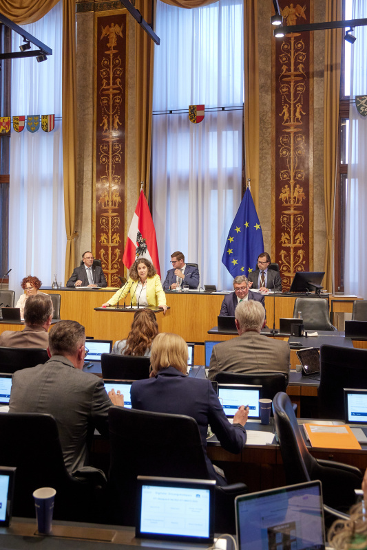 Am Redner:innenpult: Bundesrätin Elisabeth Kittl (GRÜNE)