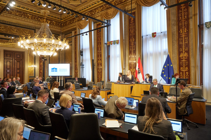 Am Redner:innenpult: Bundesrätin Isabella Theuermann (FPÖ)