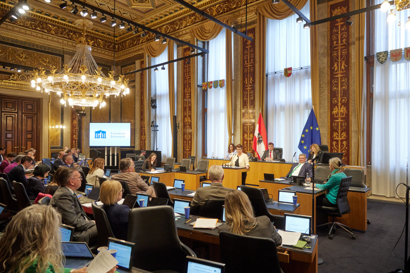 Am Redner:innenpult: Bundesrätin Bernadette Kerschler (SPÖ)