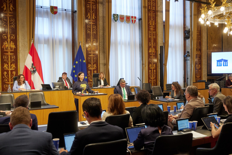 Am Redner:innenpult: Bundesrätin Manuela-Anna Sumah-Vospernik (NEOS)