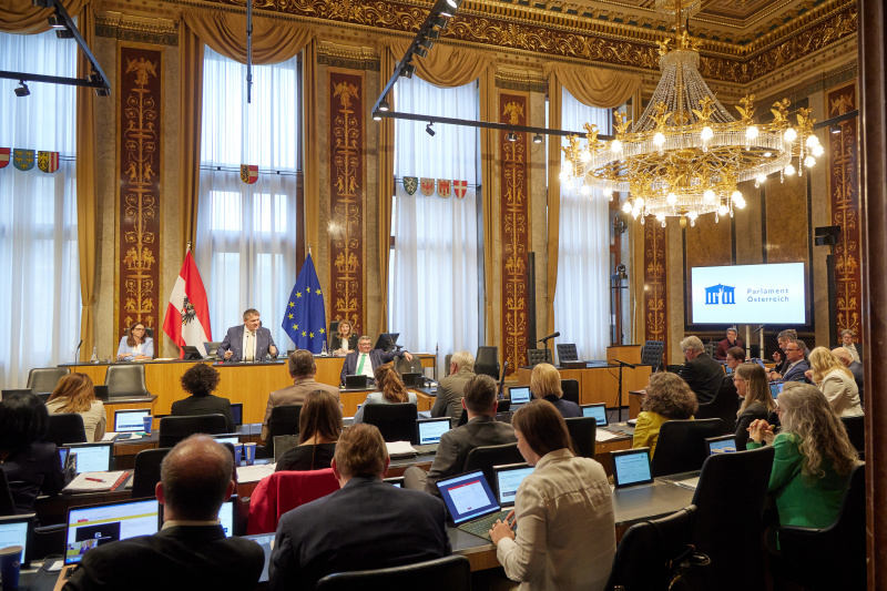 Am Redner:innenpult: Bundesrat Christoph Thoma (ÖVP)