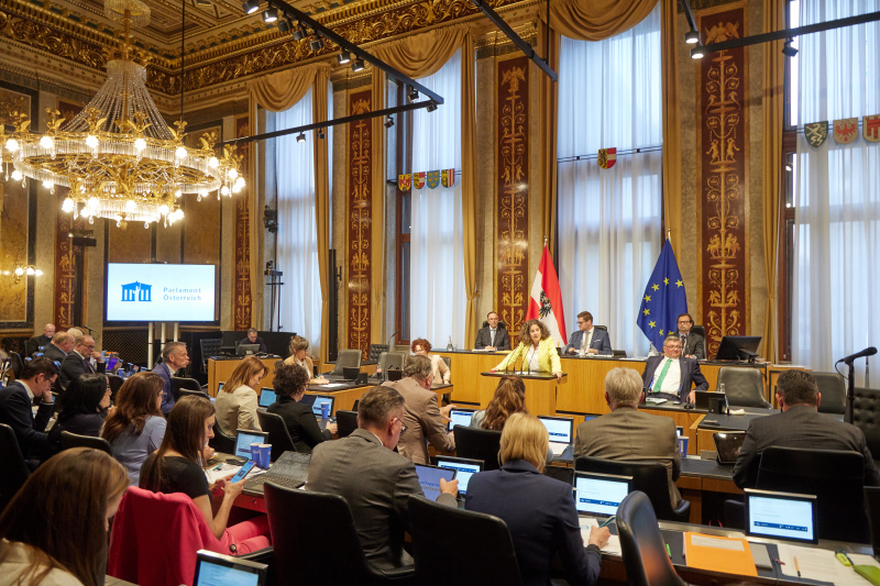 Am Redner:innenpult: Bundesrätin Elisabeth Kittl (GRÜNE)