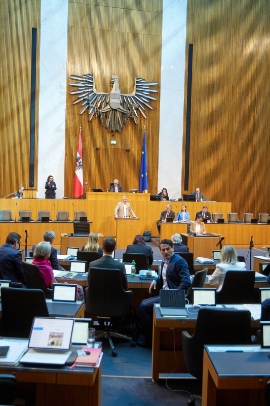 Am Redner:innenpult: Klubobmann Werner Kogler (GRÜNE)