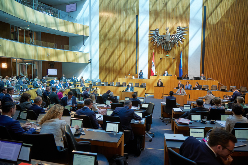 Am Redner:innenpult: Nationalratsabgeordnete Karin Doppelbauer (NEOS)