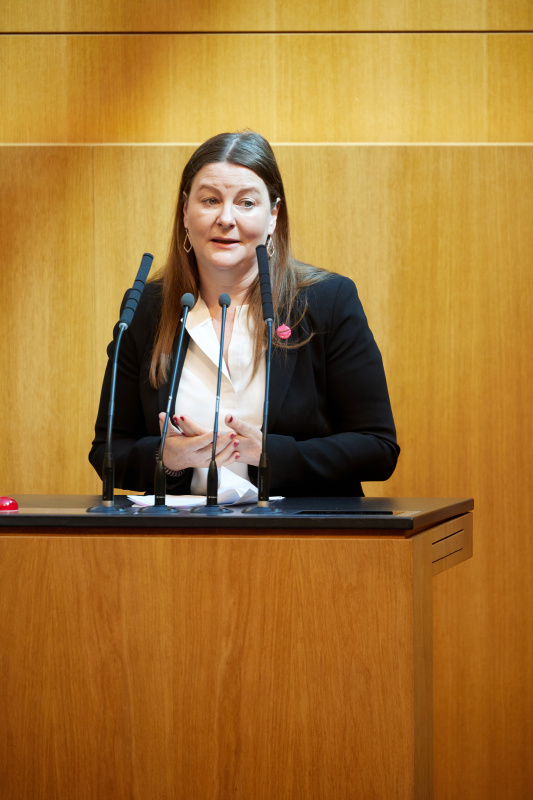 Am Redner:innenpult: Nationalratsabgeordnete Karin Doppelbauer (NEOS)