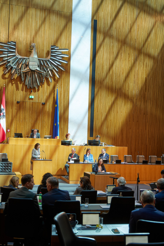 Am Redner:innenpult: Nationalratsabgeordnete Alma Zadić (GRÜNE)