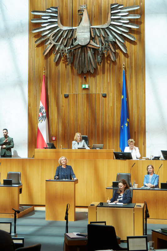 Am Redner:innenpult: Nationalratsabgeordnete Karin Greiner (SPÖ)