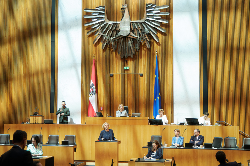 Am Redner:innenpult: Nationalratsabgeordnete Karin Greiner (SPÖ)