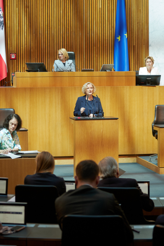 Am Redner:innenpult: Nationalratsabgeordnete Karin Greiner (SPÖ)