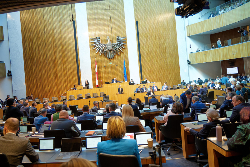 Am Redner:innenpult: Nationalratsabgeordnete Susanne Fürst (FPÖ)