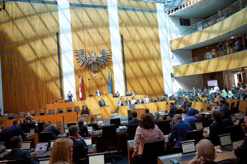 Am Redner:innenpult: Nationalratsabgeordneter Christian Hafenecker (FPÖ)