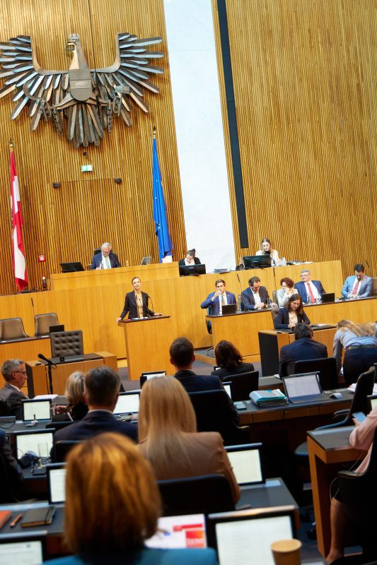 Am Redner:innenpult: Nationalratsabgeordnete Susanne Fürst (FPÖ)