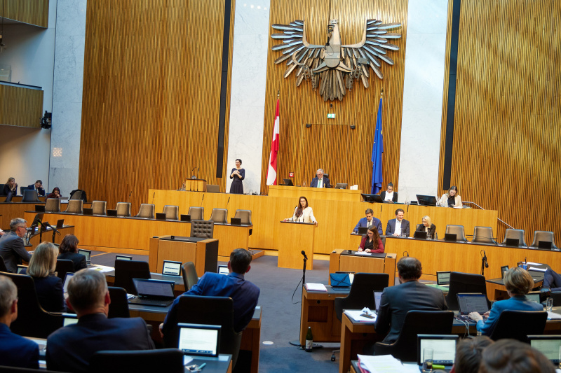 Am Redner:innenpult: Nationalratsabgeordnete Muna Duzdar (SPÖ)