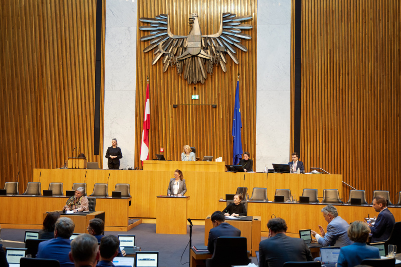 Am Redner:innenpult: Nationalratsabgeordnete Katayun Pracher-Hilander (FPÖ)