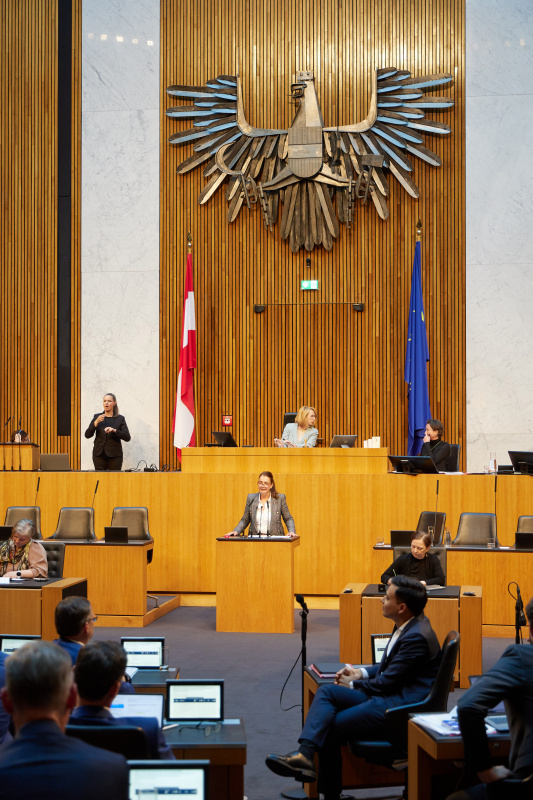 Am Redner:innenpult: Nationalratsabgeordnete Katayun Pracher-Hilander (FPÖ)