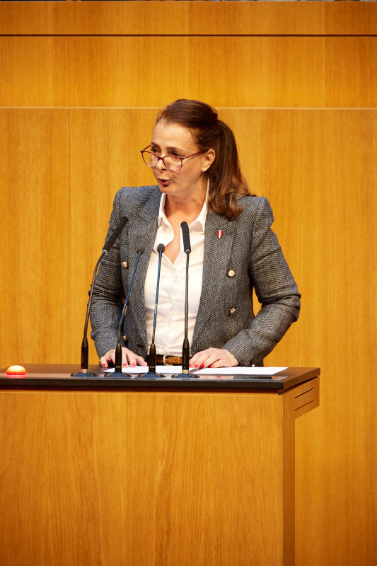 Am Redner:innenpult: Nationalratsabgeordnete Katayun Pracher-Hilander (FPÖ)