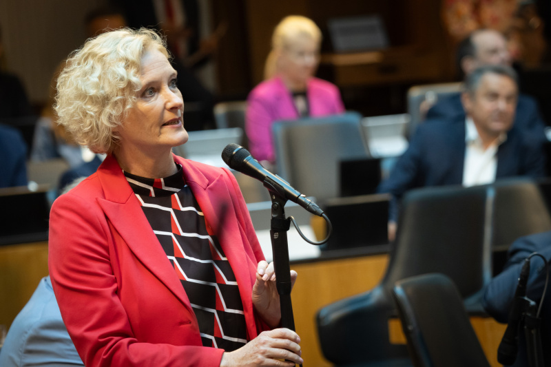 Diskussion zur Geschäftsordnung. Am Wort Nationalratsabgeordnete Karin Greiner (SPÖ)