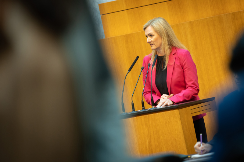 Am Redner:innenpult Nationalratsabgeordnete Petra Tanzler (SPÖ)