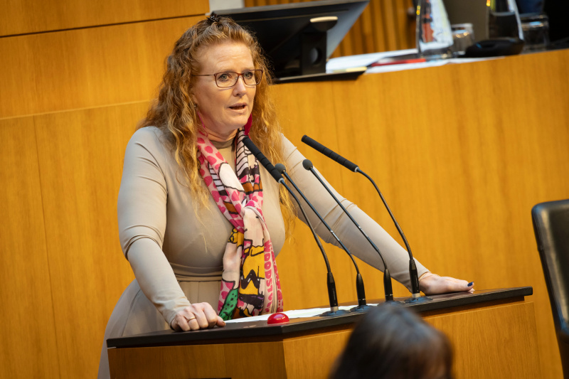 Am Redner:innenpult Nationalratsabgeordnete Fiona Fiedler (NEOS)