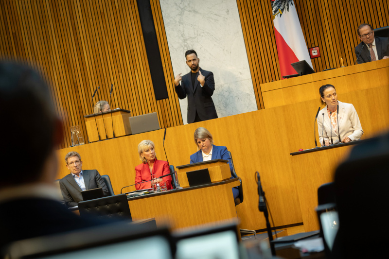 Am Redner:innenpult Nationalratsabgeordnete Elisabeth Heiß (FPÖ). Zweiter Nationalratspräsident Peter Haubner (ÖVP) am Präsidium. Auf der Regierungsbank von rechts:  Volksanwältin Elisabeth Schwetz, Volksanwältin Gaby Schwarz und Volksanwalt Bernhard Achitz