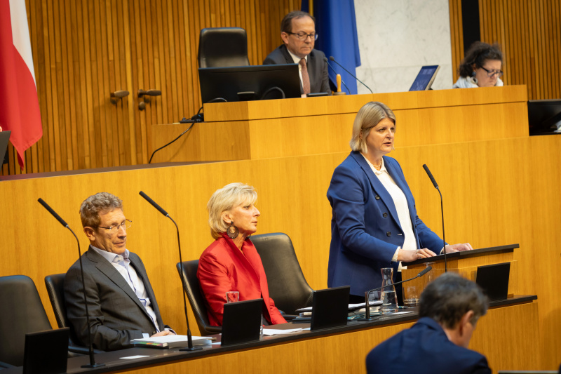 Am Redner:innenpult Volksanwältin Elisabeth Schwetz. Auf der Regierungsbank von rechts:  Volksanwältin Gaby Schwarz und Volksanwalt Bernhard Achitz