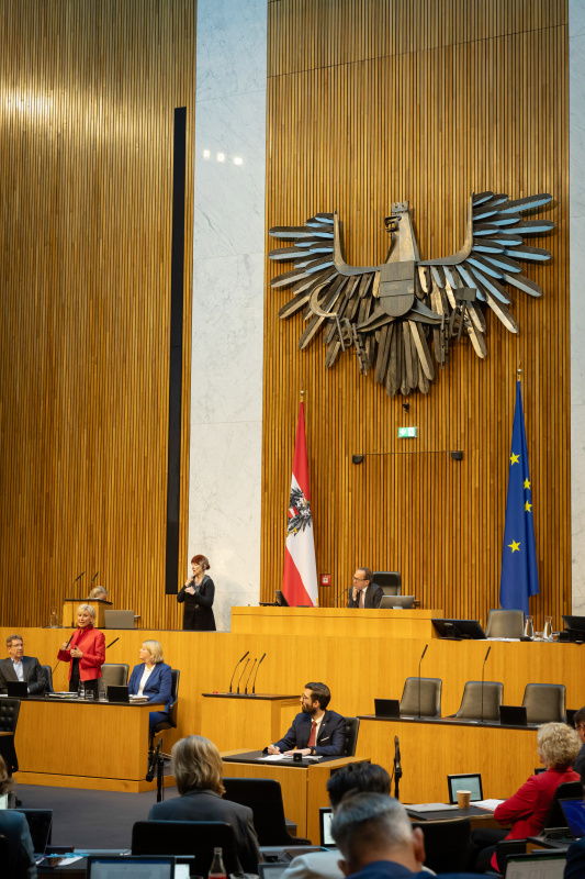 Zweiter Nationalratspräsident Peter Haubner (ÖVP) am Präsidium. Auf der Regierungsbank von rechts:  Volksanwältin Elisabeth Schwetz, Volksanwältin Gaby Schwarz und Volksanwalt Bernhard Achitz
