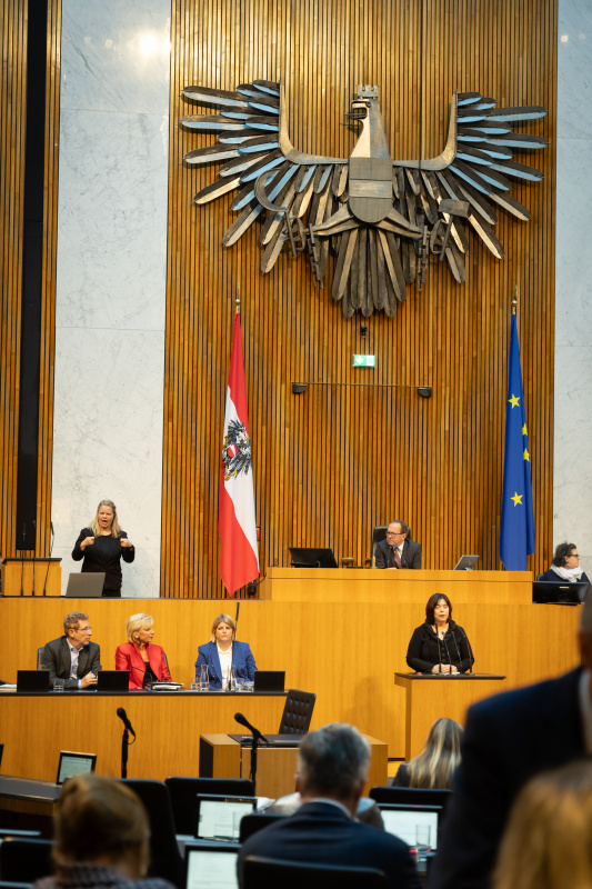 Am Redner:innenpult Nationalratsabgeordnete Agnes Totter (ÖVP). Zweiter Nationalratspräsident Peter Haubner (ÖVP) am Präsidium. Auf der Regierungsbank von rechts:  Volksanwältin Elisabeth Schwetz, Volksanwältin Gaby Schwarz und Volksanwalt Bernhard Achitz