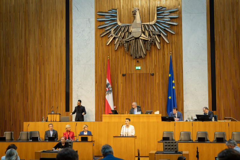 Am Redner:innenpult Nationalratsabgeordnete Olga Voglauer (GRÜNE). Nationalratspräsident Walter Rosenkranz (FPÖ) am Präsidium. Auf der Regierungsbank von rechts:  Volksanwältin Elisabeth Schwetz, Volksanwältin Gaby Schwarz und Volksanwalt Bernhard Achitz