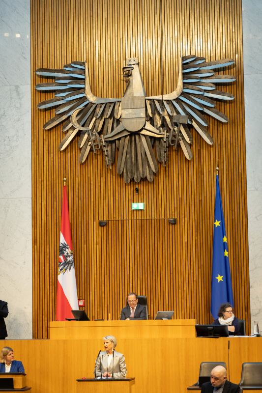 Am Redner:innenpult Nationalratsabgeordnete Romana Deckenbacher (ÖVP). Zweiter Nationalratspräsident Peter Haubner (ÖVP) am Präsidium. Auf der Regierungsbank von rechts:  Volksanwältin Elisabeth Schwetz, Volksanwältin Gaby Schwarz und Volksanwalt Bernhard Achitz