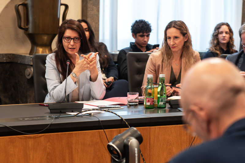 Fragestellung. Nationalratsabgeordnete Muna Duzdar (SPÖ)