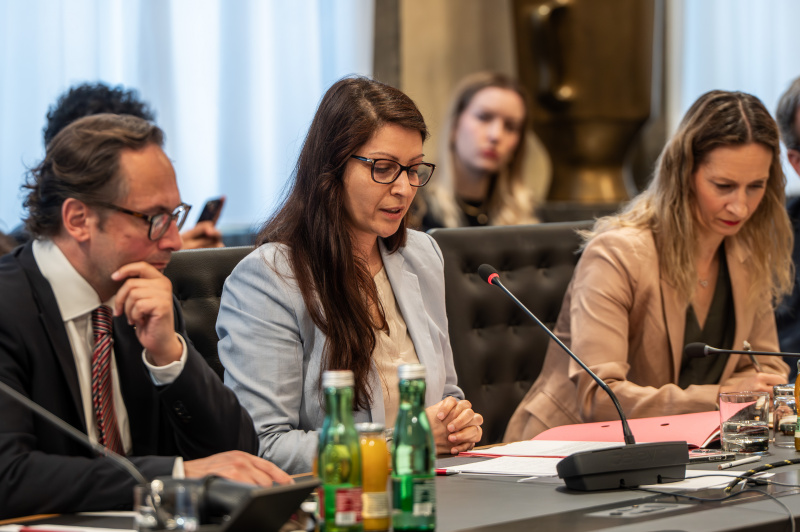 Fragestellung. Nationalratsabgeordnete Muna Duzdar (SPÖ)