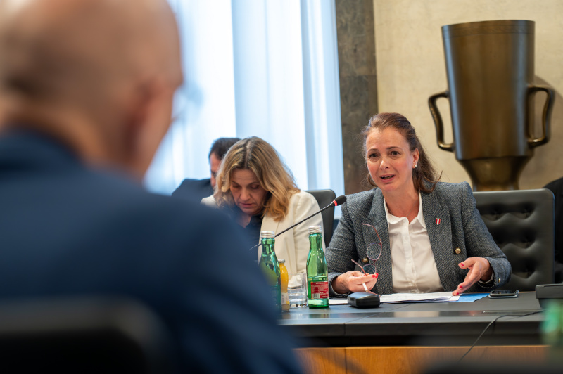 Fragestellung. Nationalratsabgeordnete Katayun Pracher-Hilander (FPÖ)